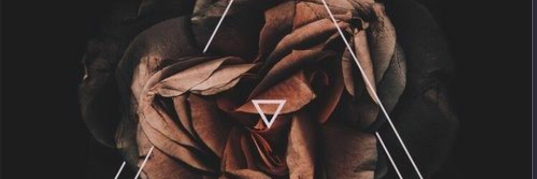 meredith_nik's profile banner image