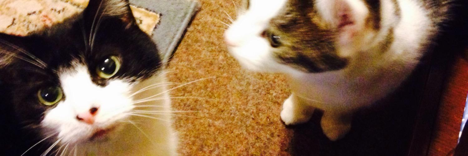 kat_proctor91's profile banner image