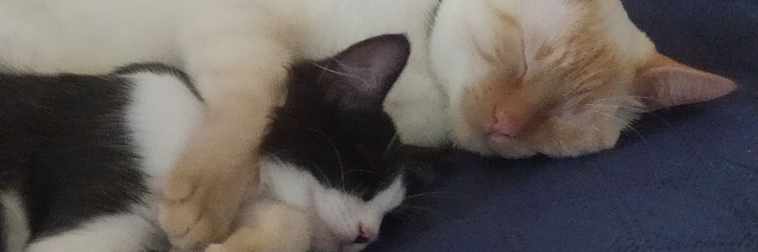 Tenerifescott's profile banner image