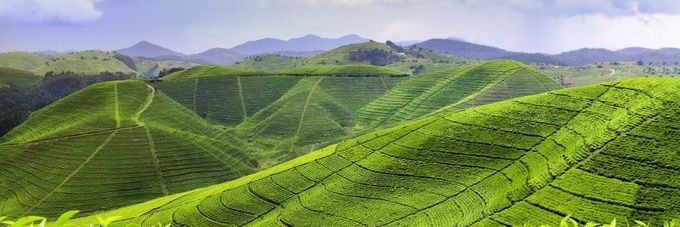 KAYINAMURA Guy Evrard banner