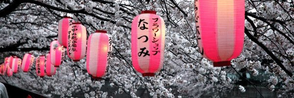 charyreallo's profile banner image