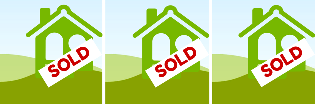 Karen Lott Realtor banner