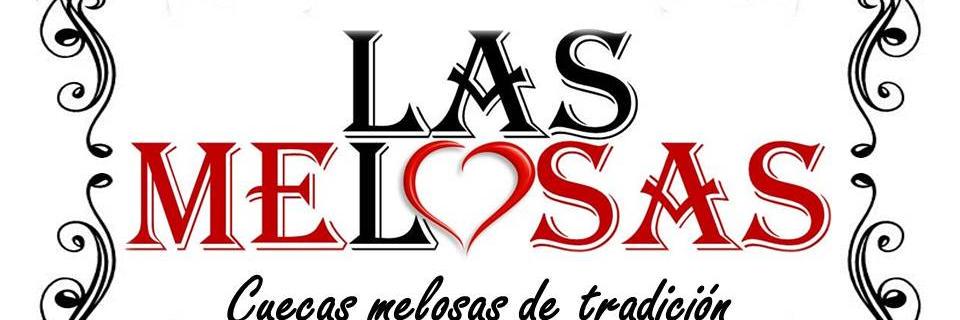 LasMelosas's profile banner image