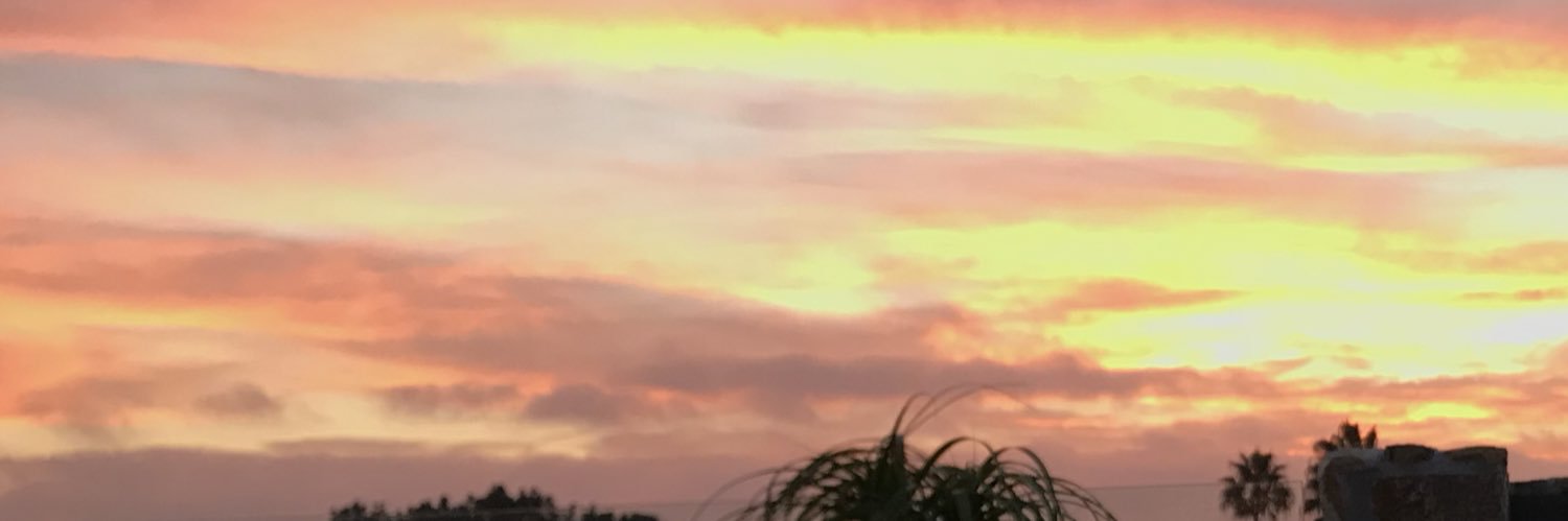 WhoMikeShoen's profile banner image