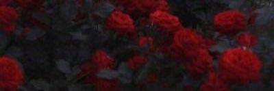 MrsBMullen's profile banner image