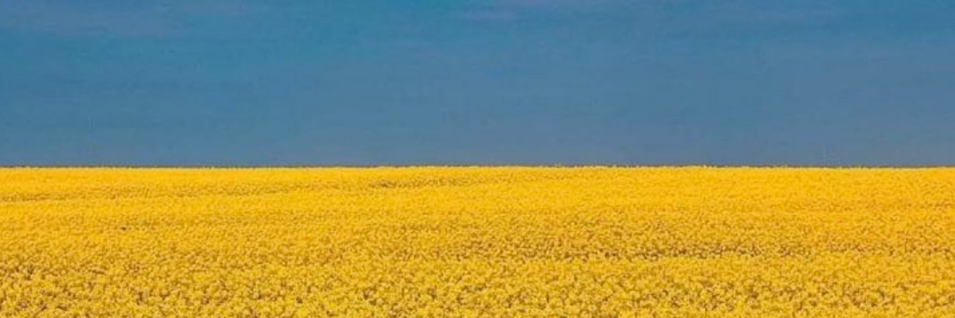 FranzD8's profile banner image