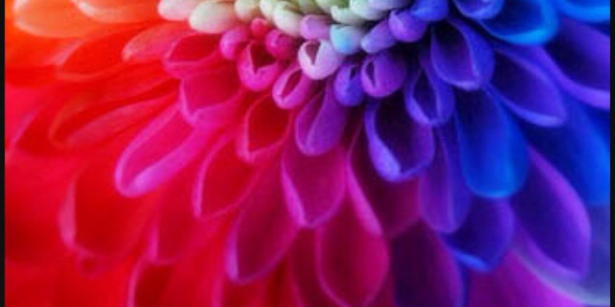 ISeeYouBellaBoo's profile banner image