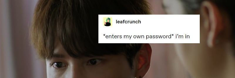 Linda | Lintunen banner