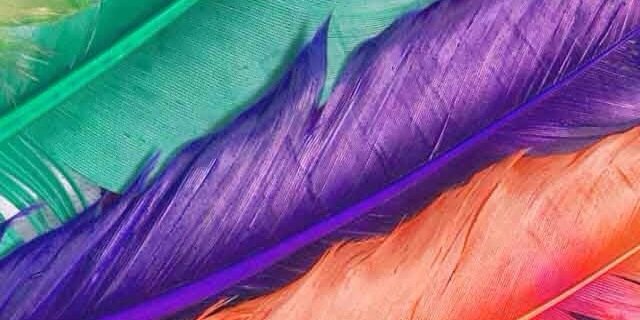 SandraGGazquez's profile banner image