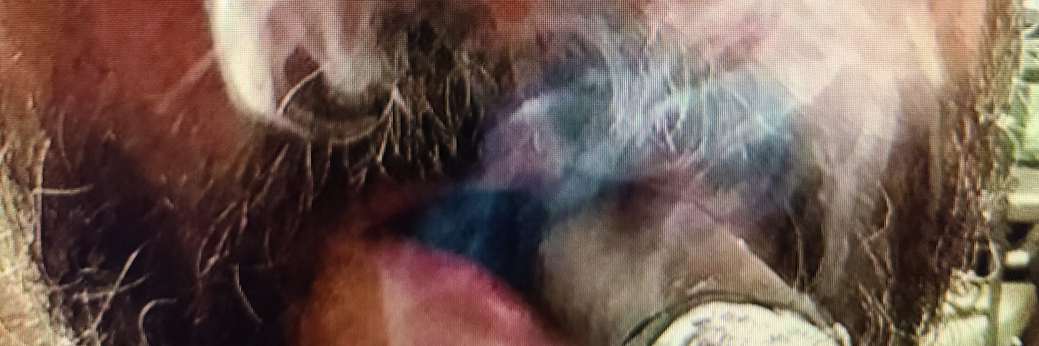 CATONINEMASTER's profile banner image