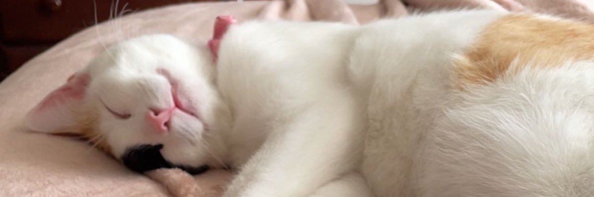 alysssabro's profile banner image