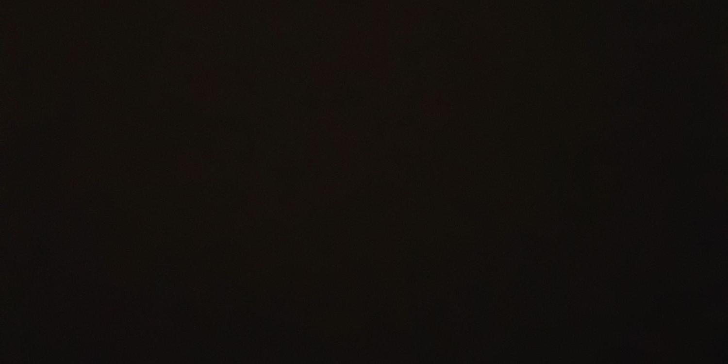 denicearyani's profile banner image