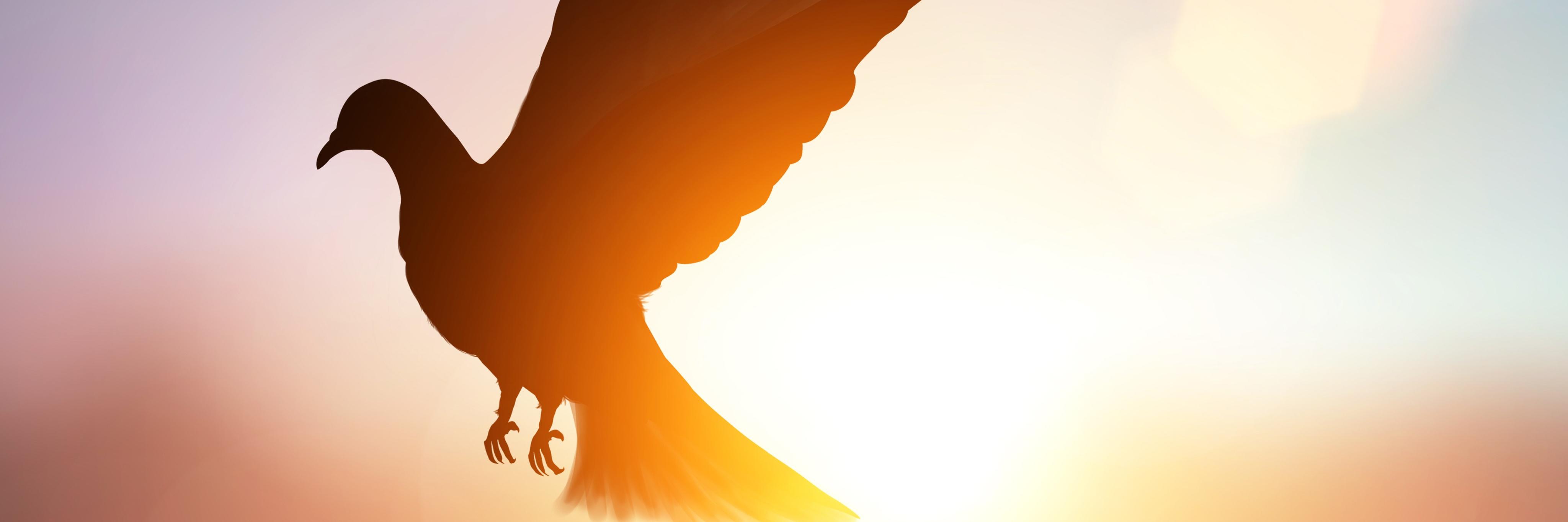 KYchurches's profile banner image
