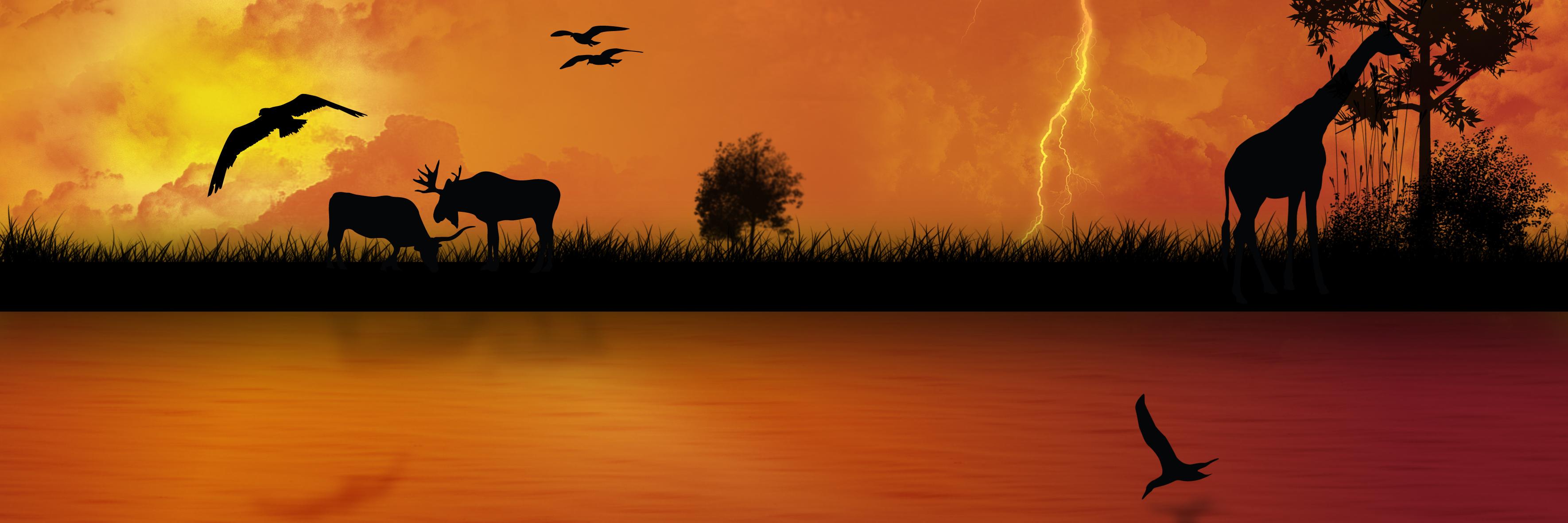 charlesshumba03's profile banner image