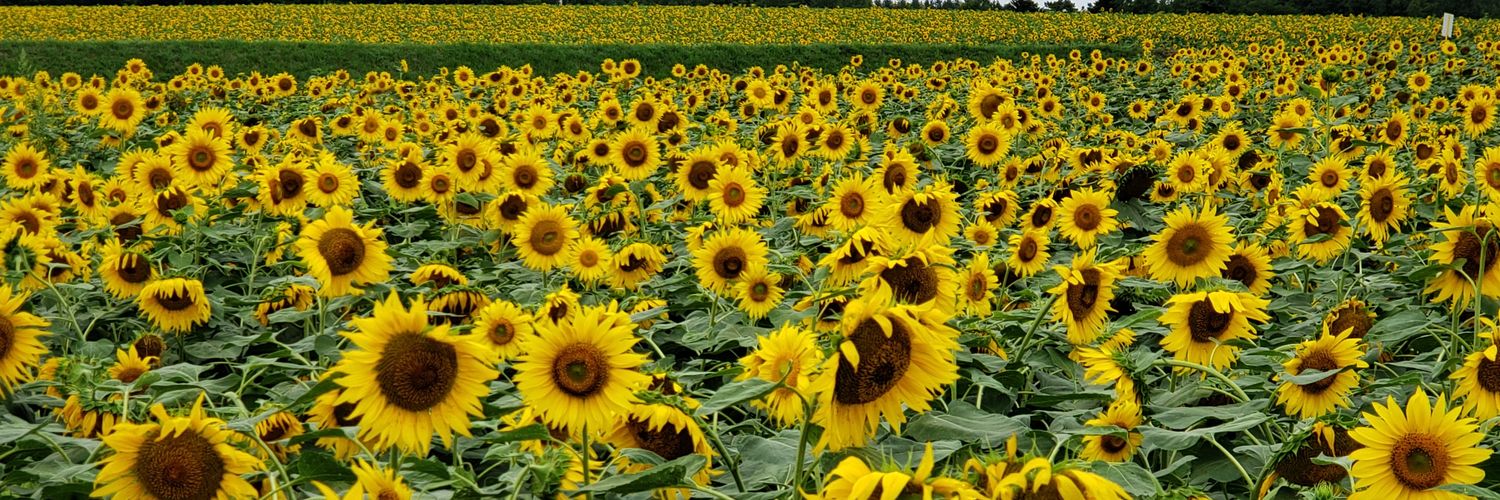 tak8323's profile banner image