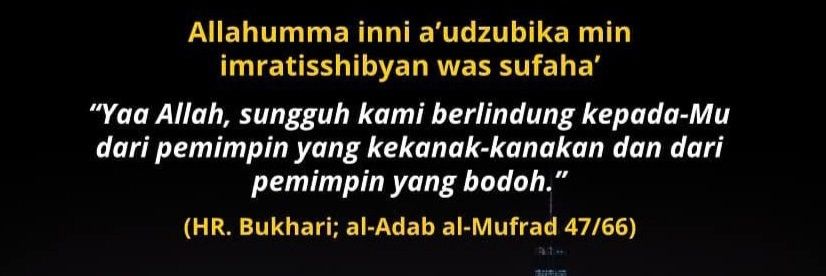 Tallesttt 🐋 banner