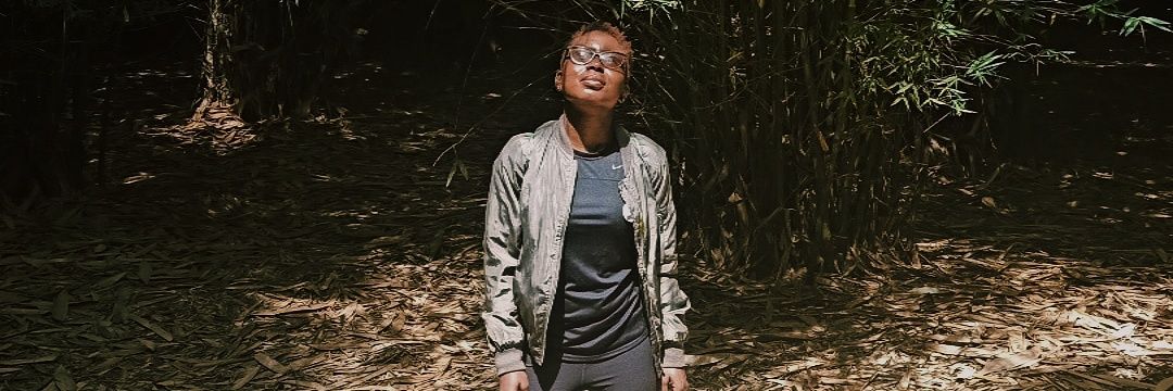 Ayaba Westeros banner