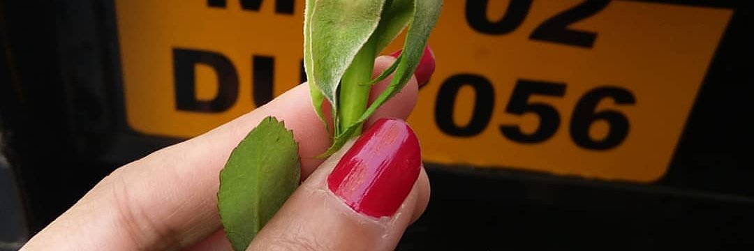 anuu_jain's profile banner image