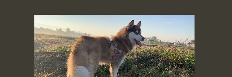 makara_sun's profile banner image