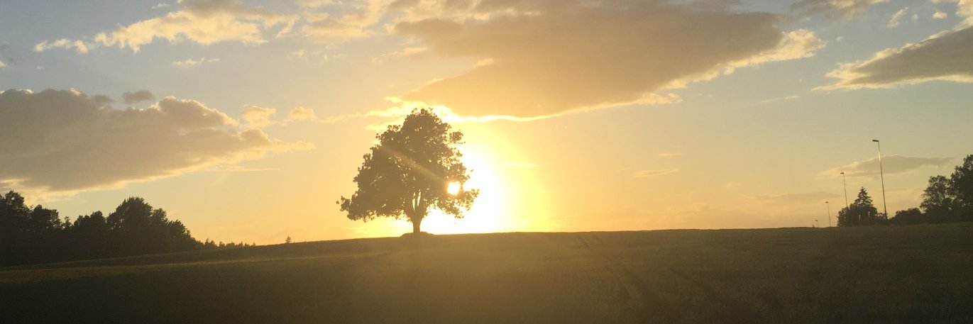 thvestby's profile banner image