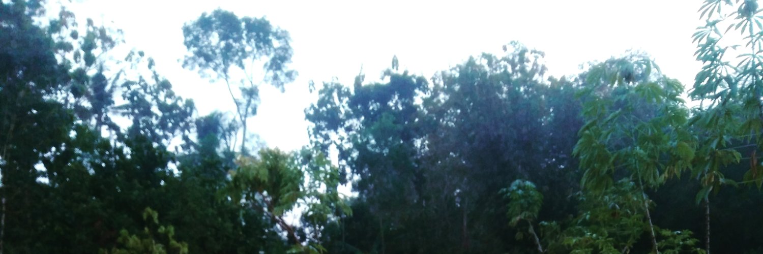 isnanine_'s profile banner image