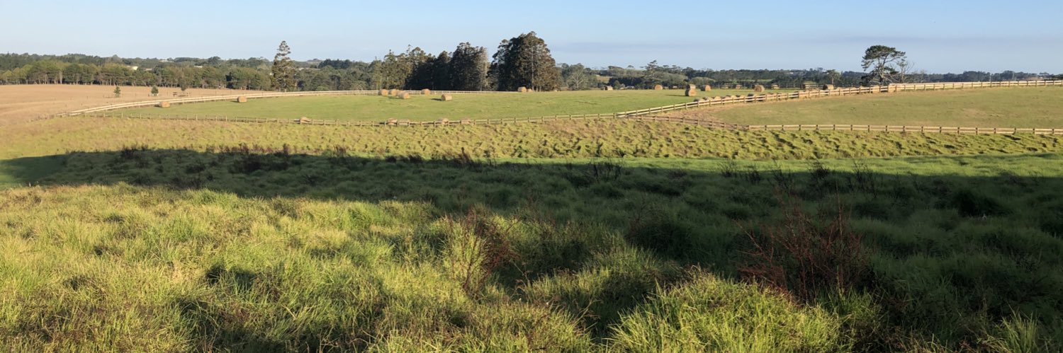 Martin Bullock banner