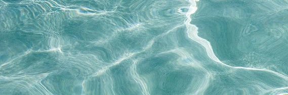 denisegevs's profile banner image