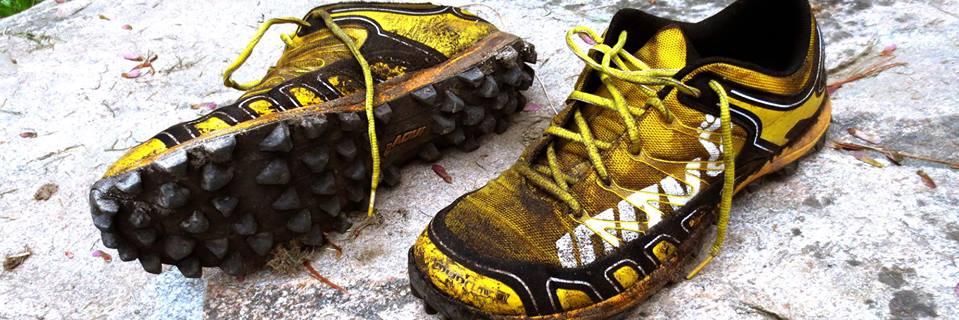 trailmonsterrun's profile banner image
