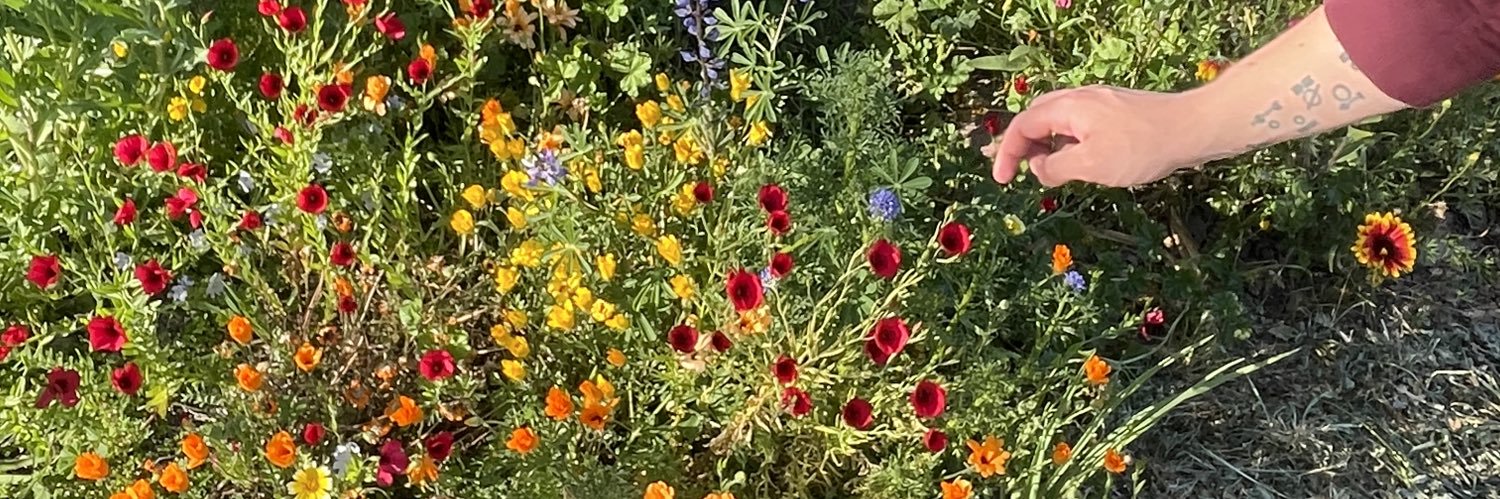 ORIGINAL_SHEBLY's profile banner image