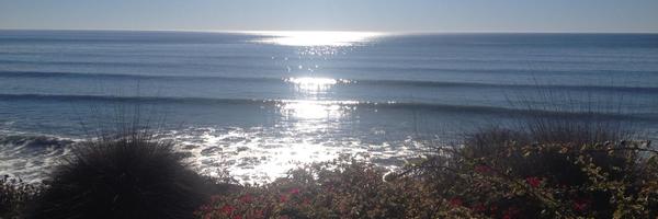 JonathanDitto Profile Banner