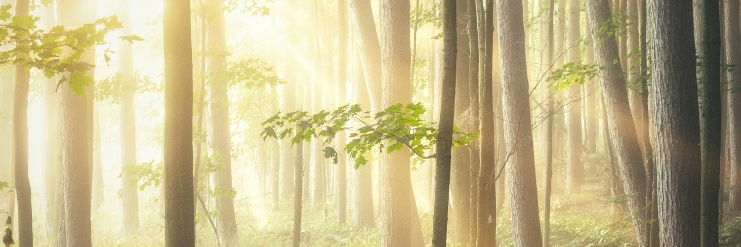 ErenKalelioglu's profile banner image
