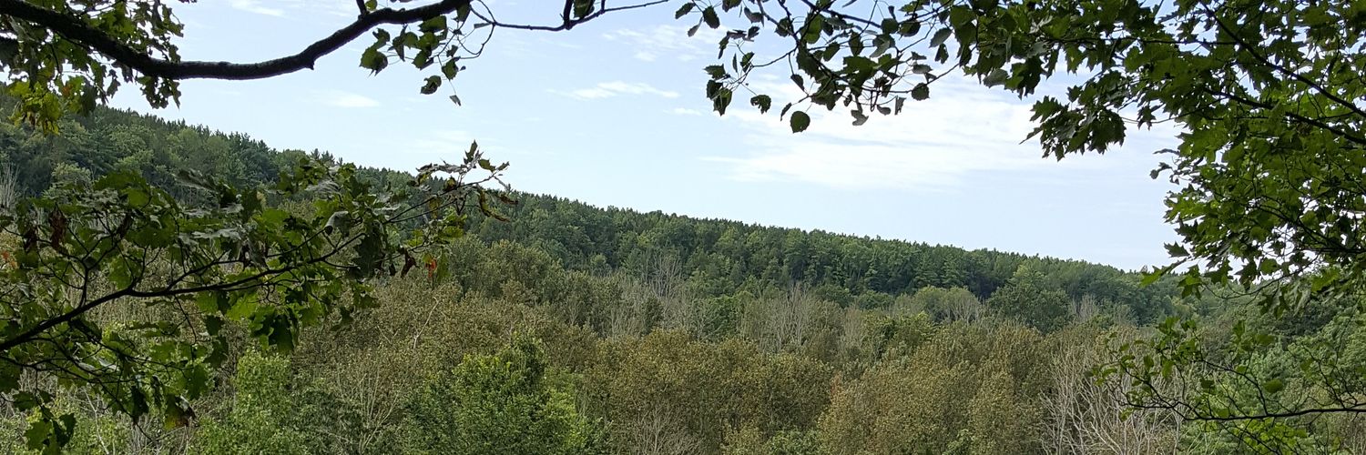 Huff banner
