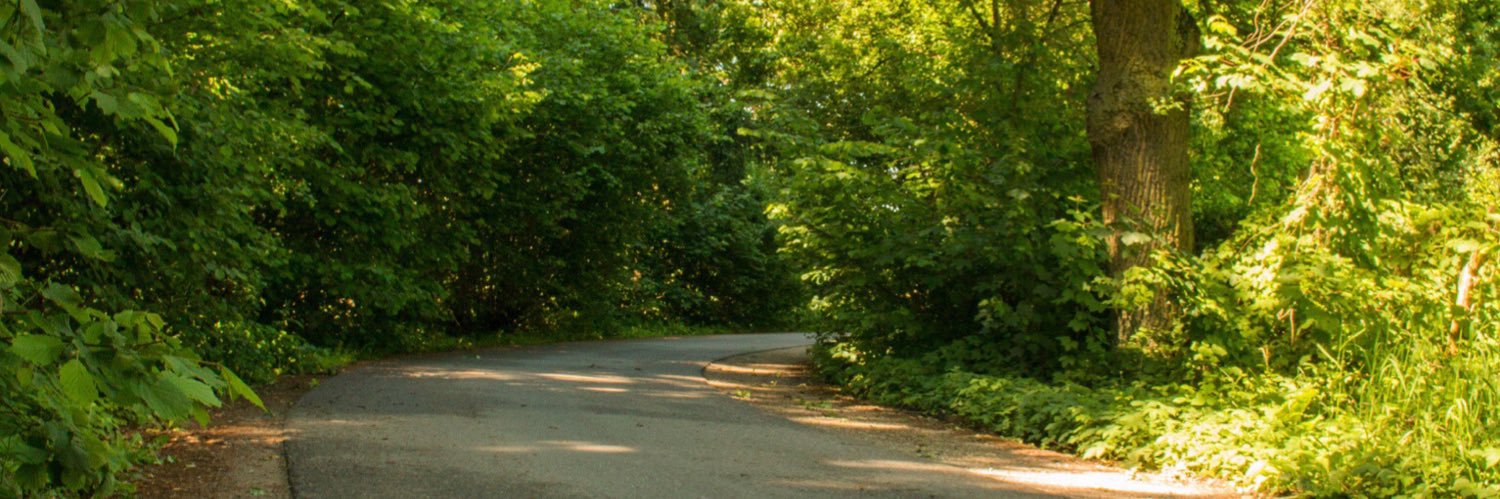 TimoLassen's profile banner image