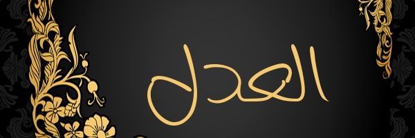 MirzaRehm's profile banner image