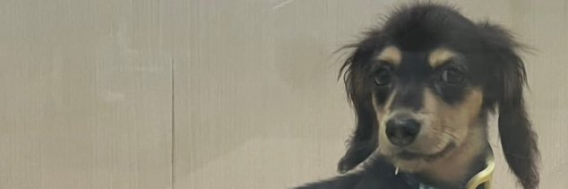 neru0508_'s profile banner image