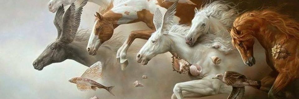 Que_incrble's profile banner image