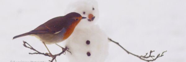 dimoracampagna's profile banner image