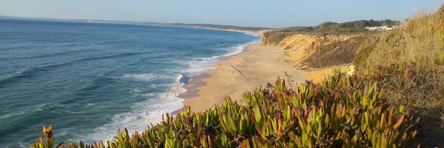 Grégory Salvan banner