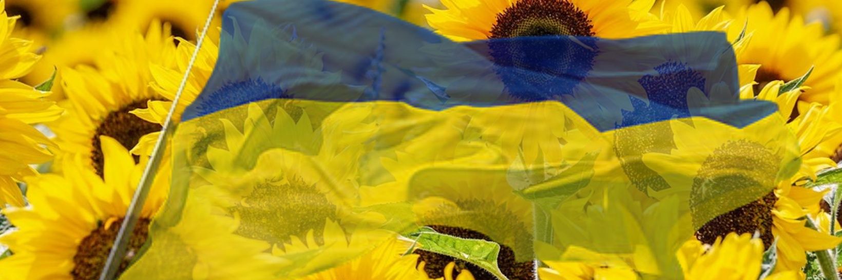 e_revolutionist's profile banner image