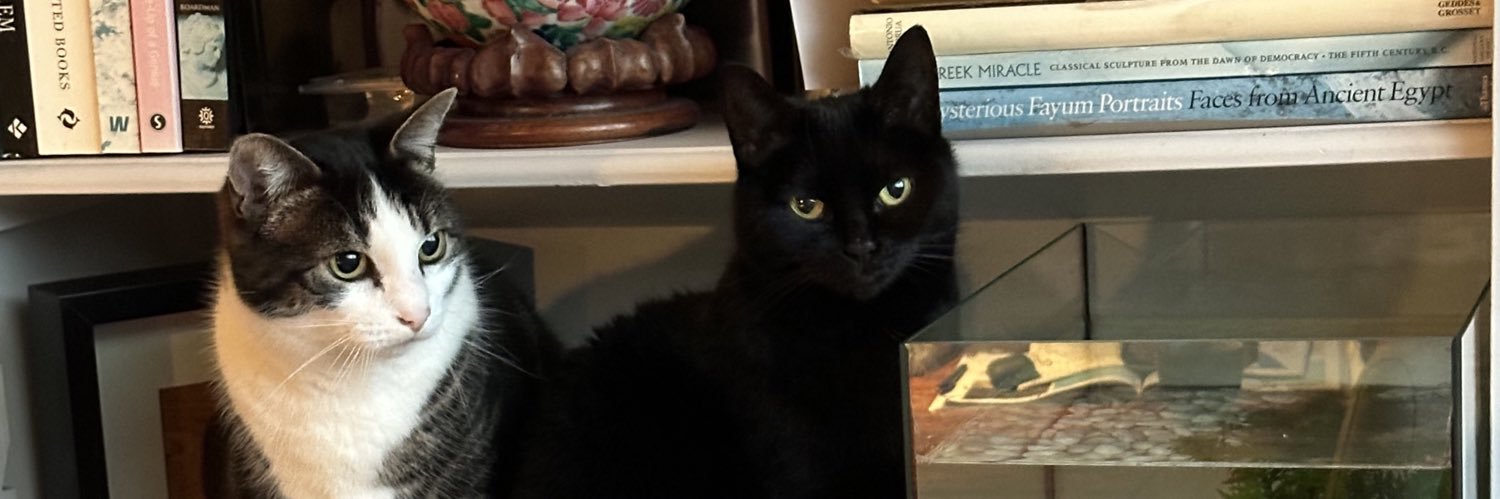 Robert van Haastert banner