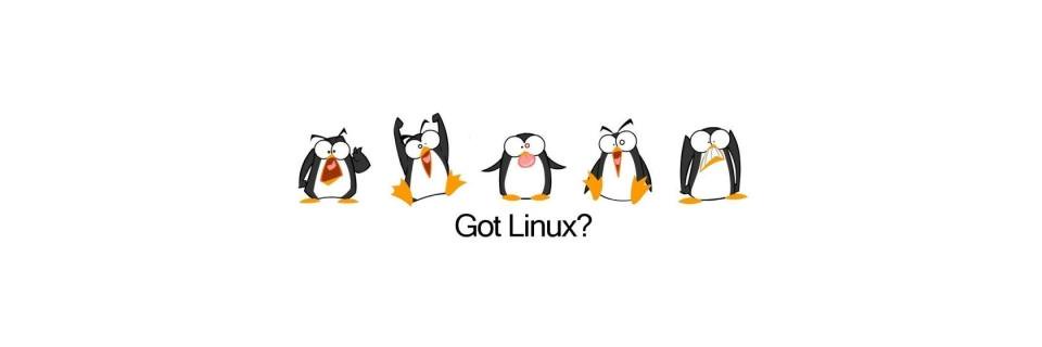 iamlinuxuser's profile banner image