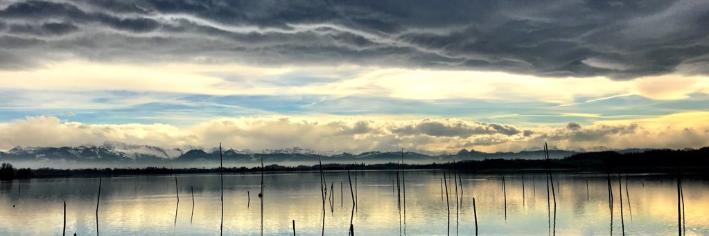 Monira_Z's profile banner image