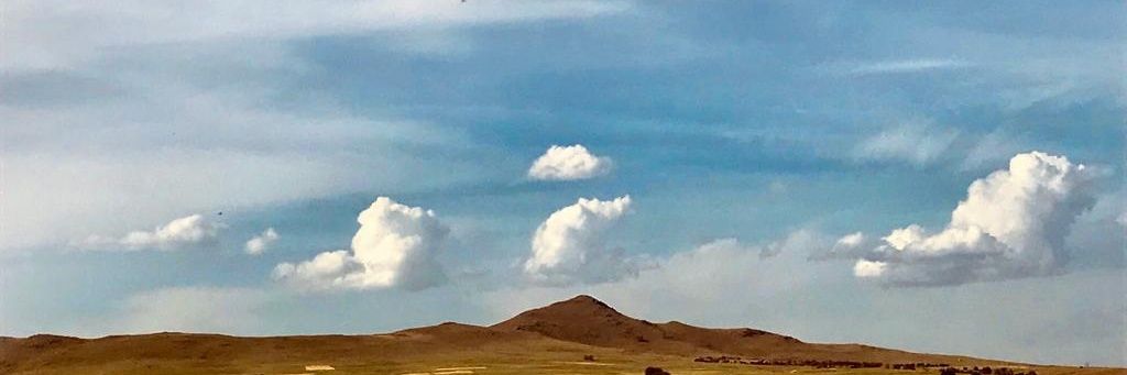 mercanese's profile banner image