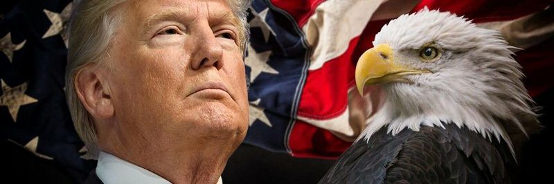 Markie Monroe banner