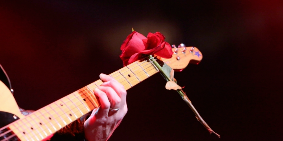 Monteplaza's profile banner image