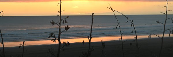 DrSandySimpson Profile Banner