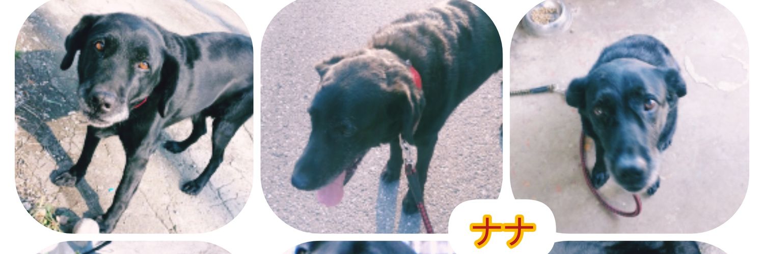 hiropro4481's profile banner image