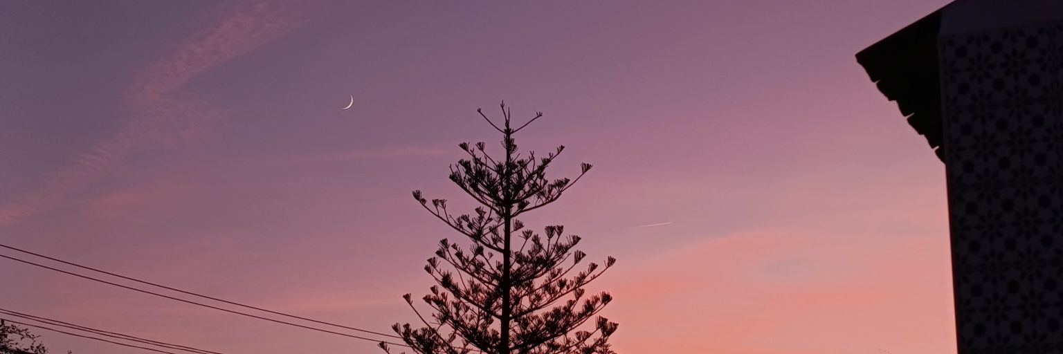 🦊 eli ˢⁱⁿ ᵈᵉ 🦊 banner