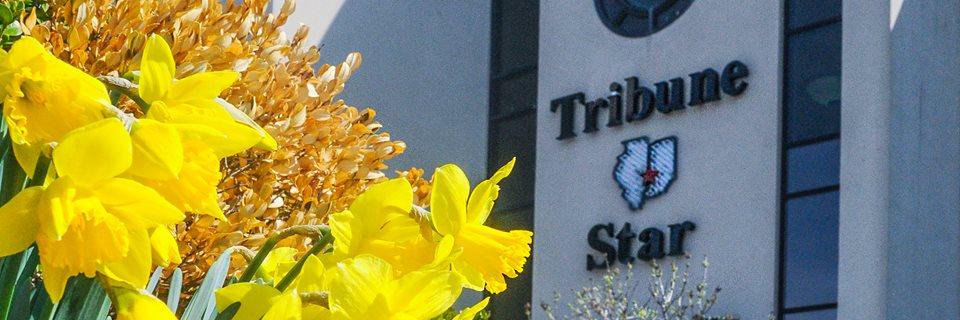 TribStarAdam's profile banner image