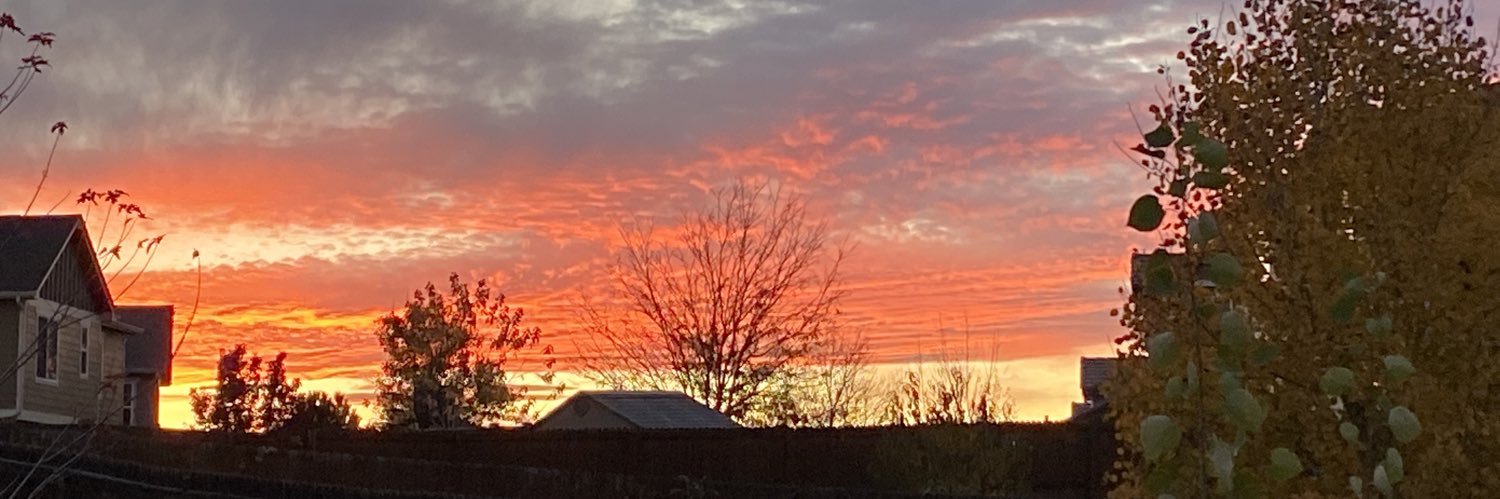 Tony Taglialucci banner